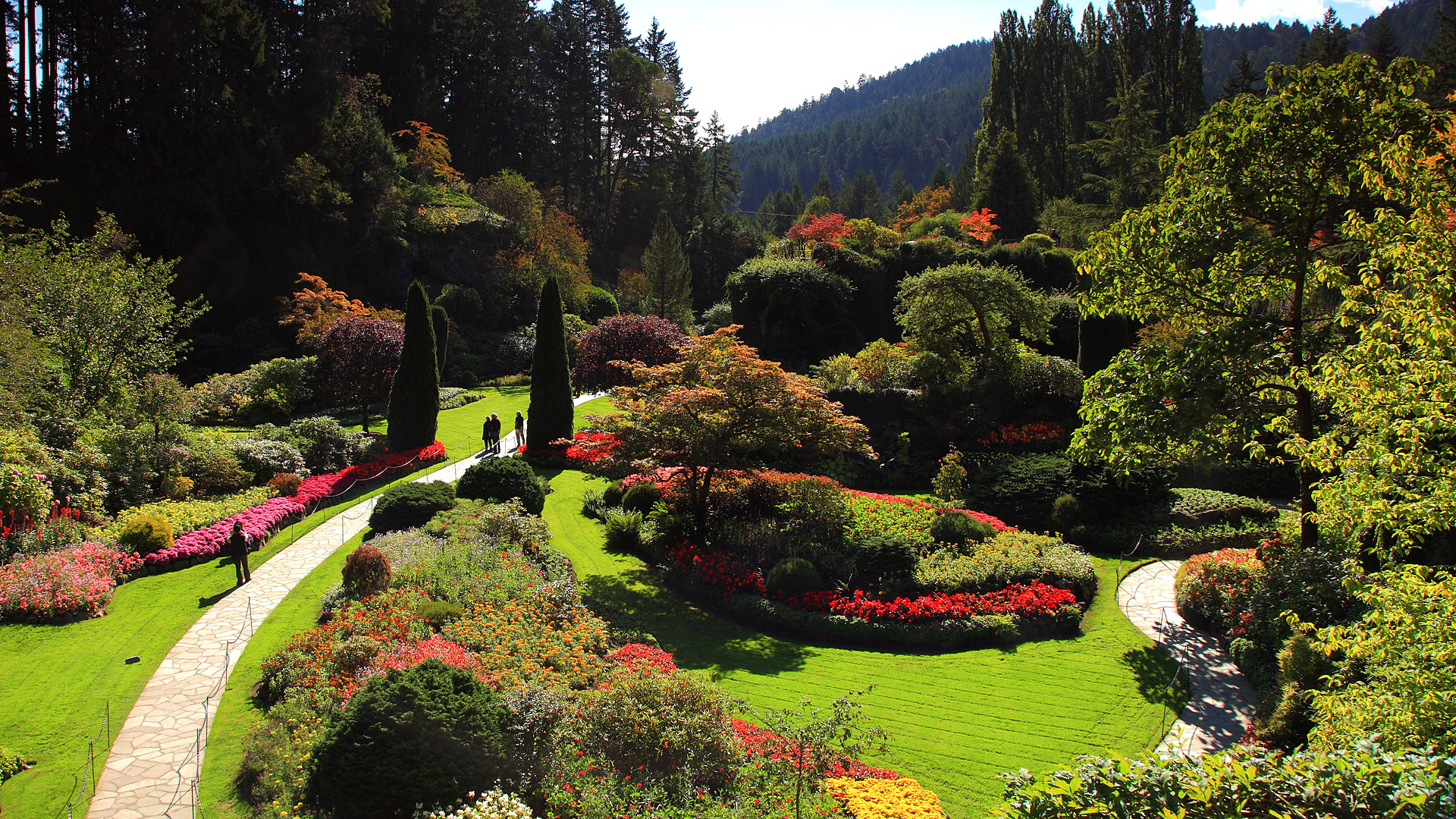 布查徳花园是维多利亚知名的人工花园。玫瑰花园、意大利花园、日式庭院、低洼花园、罗斯喷泉，依次呈现在游客面前。在布查花园不管往哪里一站，怎么拍都似风景明信片般美丽。